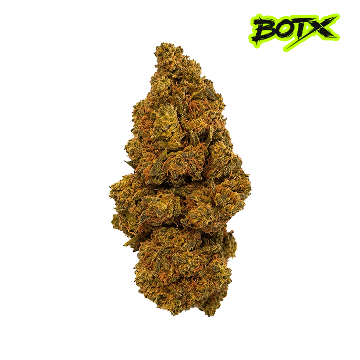 🍪 GIRL SCOOT COOKIES