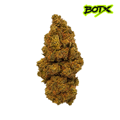 🍪 GIRL SCOOT COOKIES