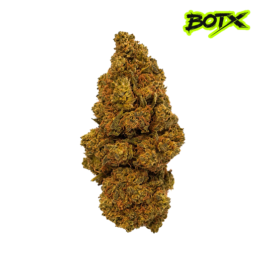🍪 GIRL SCOOT COOKIES