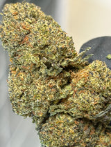 🍨 GELATO 41