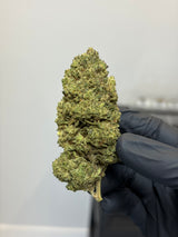 🧠 BOTA SKUNK