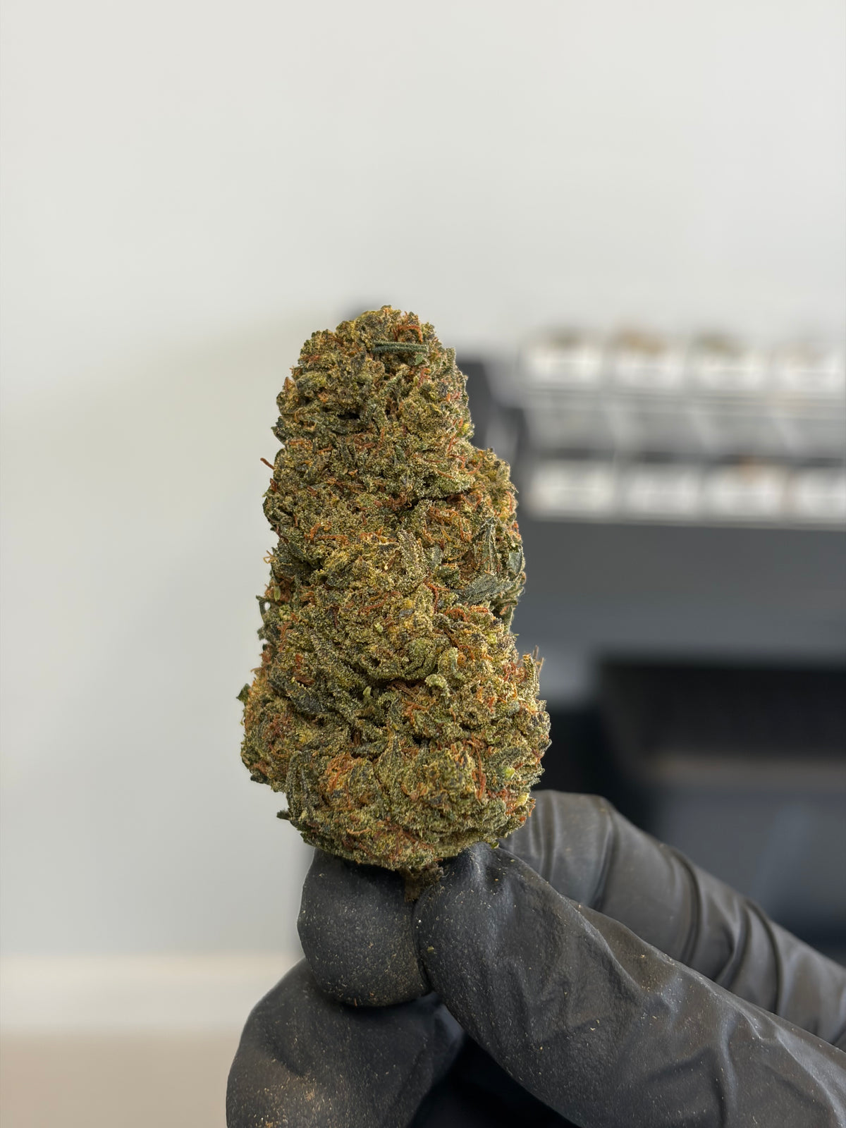⛽ BOTA DIESEL