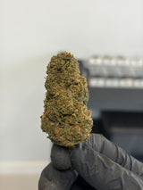 ⛽ BOTA DIESEL