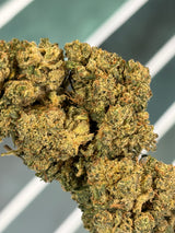👑 BOTA KUSH