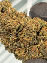 ⛽ BOTA DIESEL