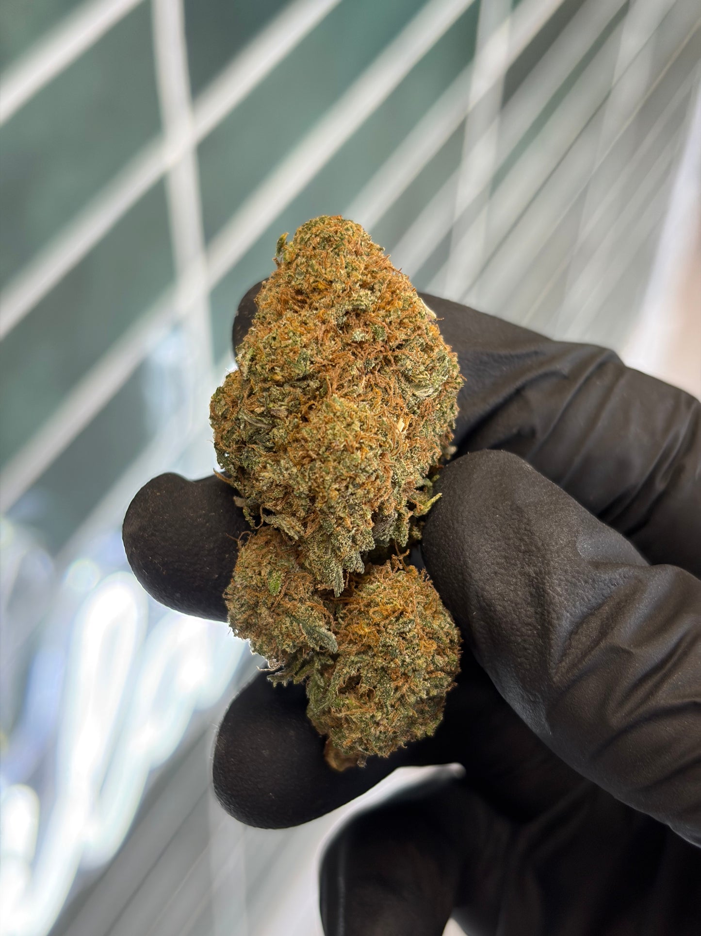 🍓 STRAWBERRY GELATO - CBD