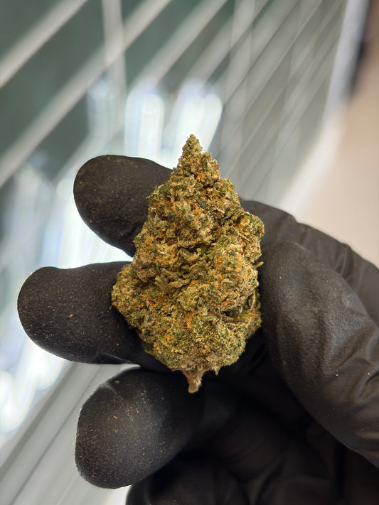 🍉 MELON CAKE - CBD