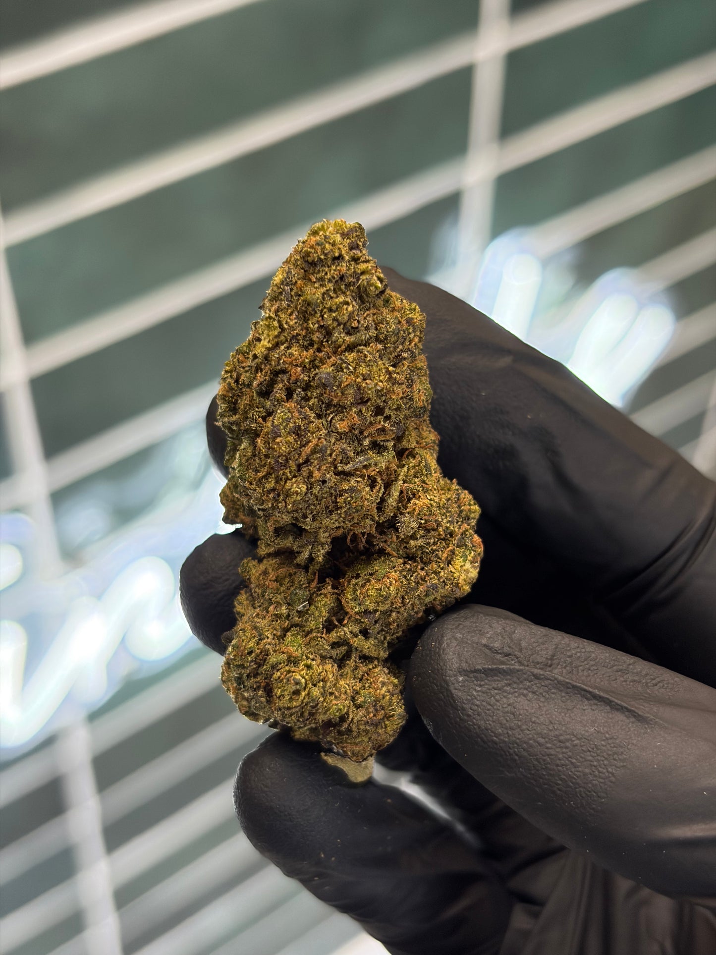 🛸 ALIEN OG