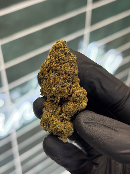 🛸 ALIEN OG