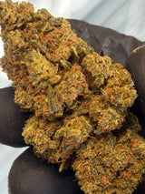🍪 GIRL SCOOT COOKIES
