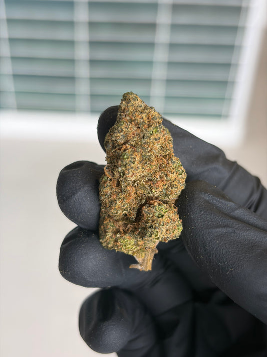 🍌🍬 BANANA x BERRY