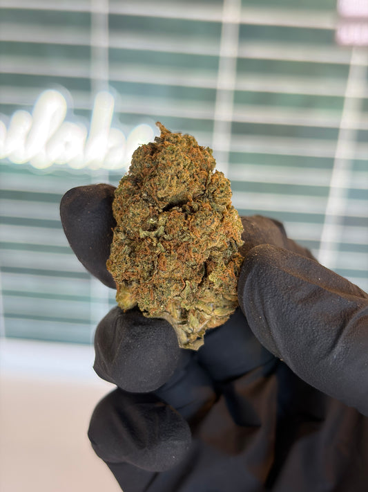 🇺🇸🌴 CALIFORNIA KUSH
