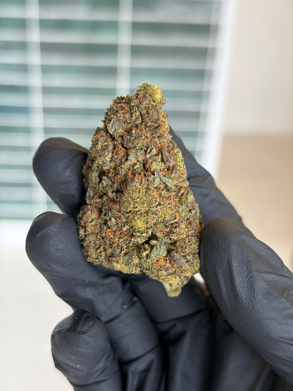 🍨 GELATO