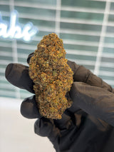 ⛽️ ALLIUM OG