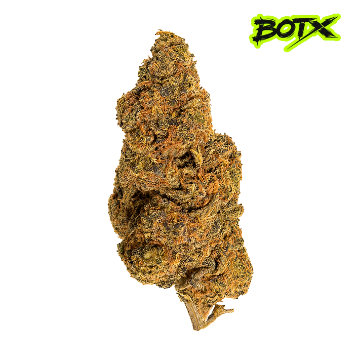 🥭 MANGO HAZE