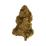 🍬 MASTER KUSH