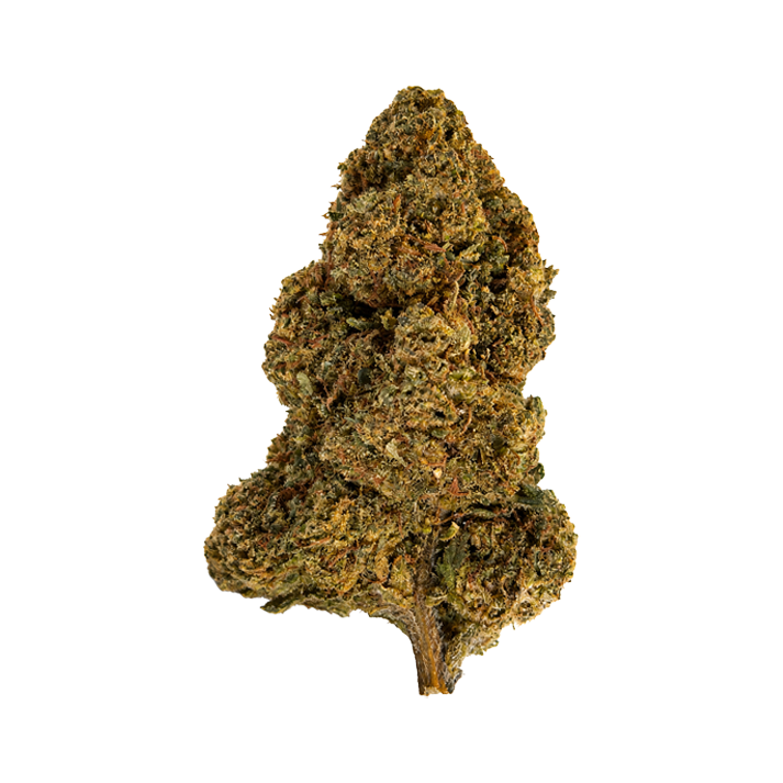 🍬 MASTER KUSH