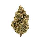 🍉 MELON CAKE - CBD