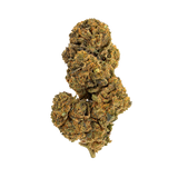 🌲 OG KUSH (Glasshouse)
