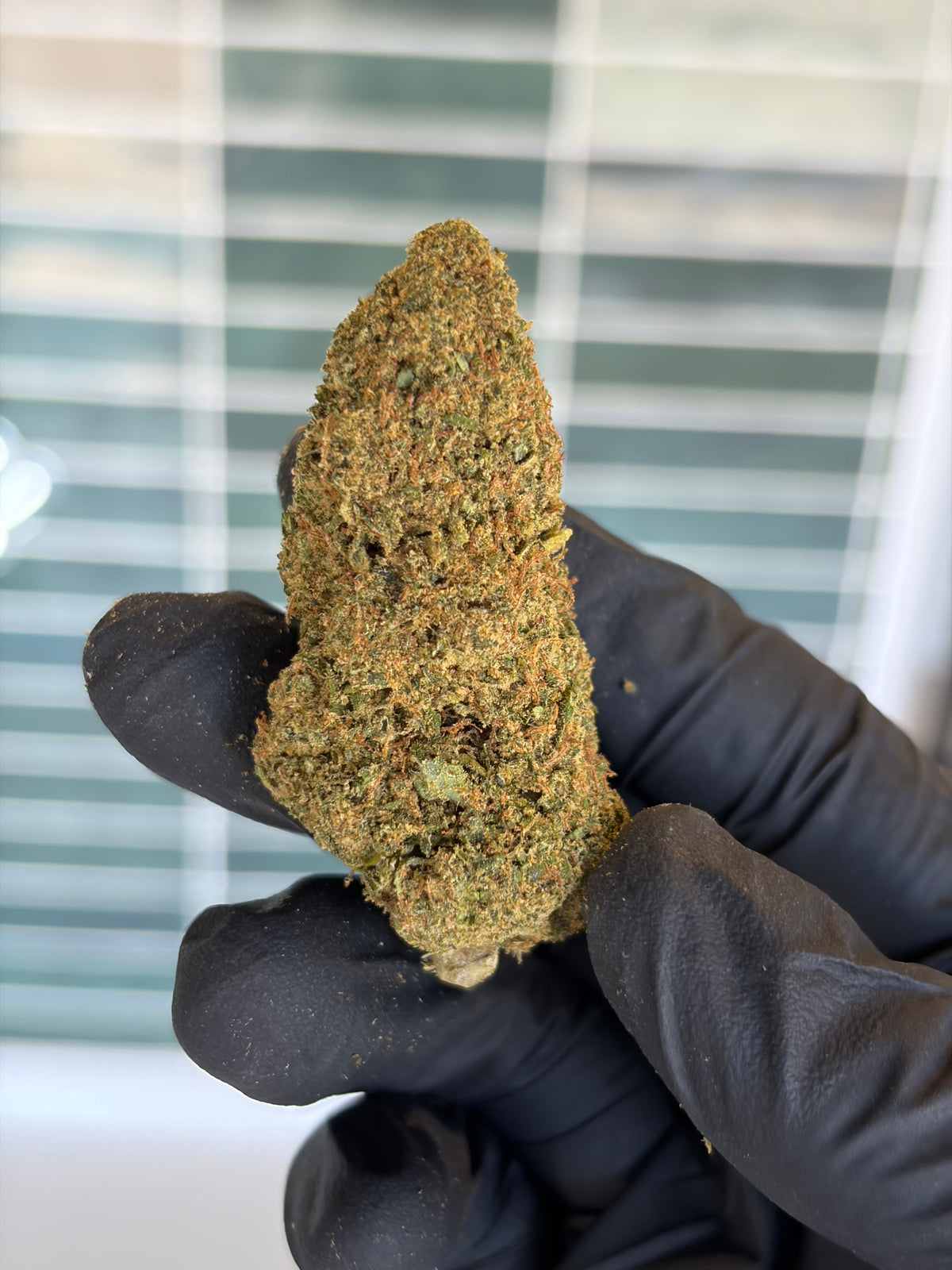 ❤️‍🔥 PASSION FRUITZ - CBD