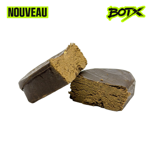 🛰️ SPACE STATIK