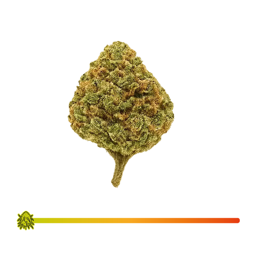 🍓 STRAWBERRY - CBD