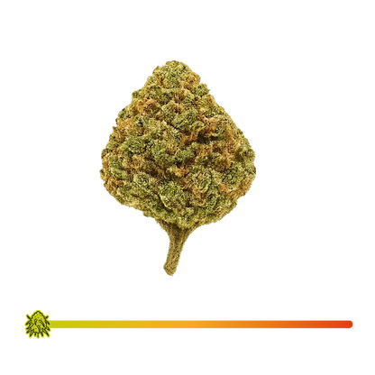 🍓 STRAWBERRY - CBD