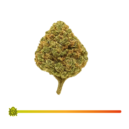 🍓 STRAWBERRY - CBD
