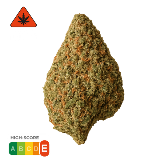 Super Critical · 10-OH