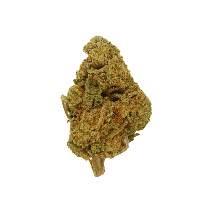 🍉 WATERMELON - CBD