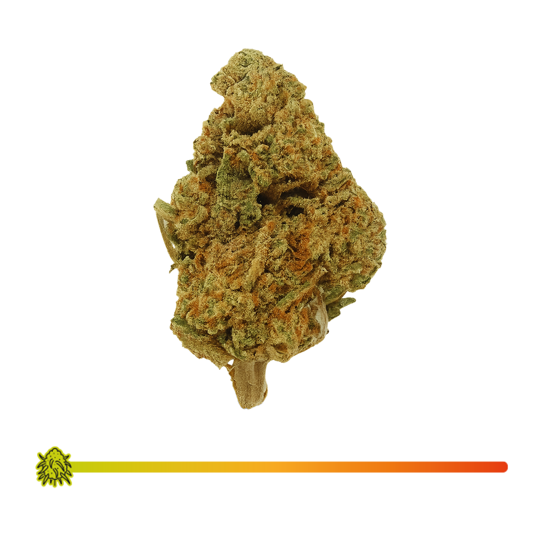 🍉 WATERMELON - CBD