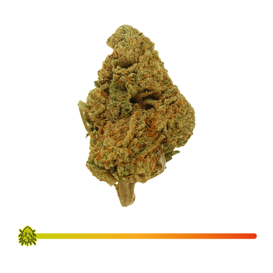 🍉 WATERMELON - CBD