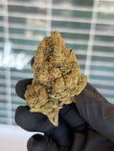 🍋 WHITE WIDOW - CBD