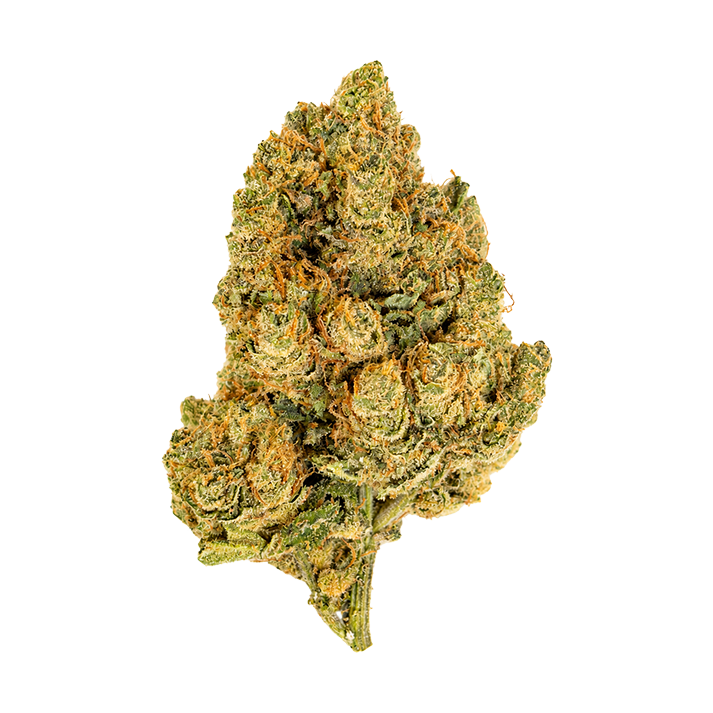 🍋 WHITE WIDOW - CBD