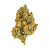 🍋 WHITE WIDOW - CBD