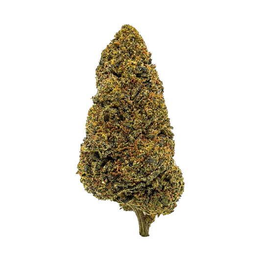 🕷️ WHITE WIDOW