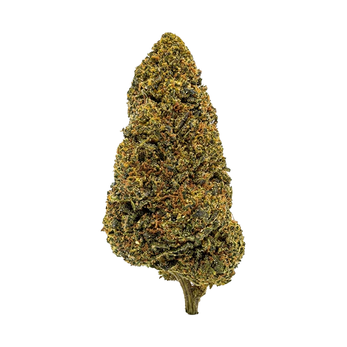 🕷️ WHITE WIDOW