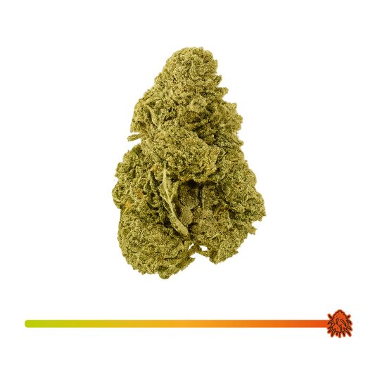 ❄️ White Widow