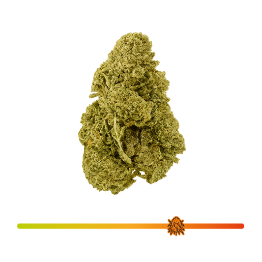 ❄️ White Widow