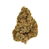 ❄️ WHITE WIDOW