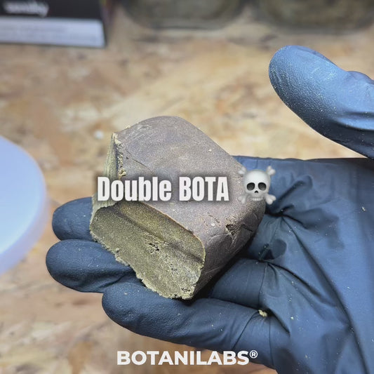 ☠️ DOUBLE BOTA (DBOTA)