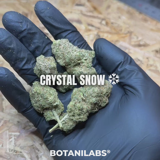 ❄️ Crystal Snow