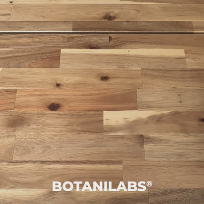 🧽 BOTA Bob